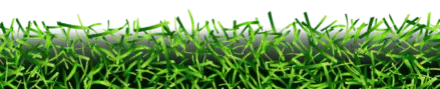 Icono grass